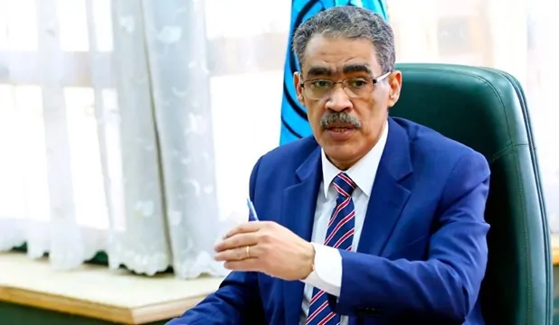 الكاتب الصحفي ضياء رشوان